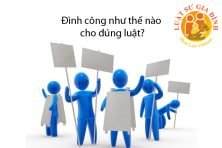 dinh-cong-dung-luat