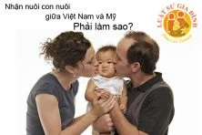 nuoi-con-nuoi-giua-viet-nam-va-hoa-ky