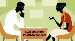 luat-su-ly-hon-phan-law-viet-nam