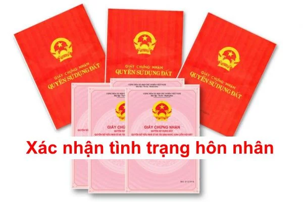 Tờ khai cấp giấy xác nhận tình trạng hôn nhân 2021 Thủ tục xác nhận tình trạng hôn nhân của cá nhân.