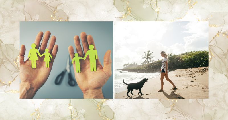 Ly hôn: Những lợi ích nhận được sau khi kết thúc hôn nhân Những lợi ích sau khi kết thúc hôn nhân