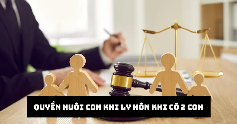 Quyền nuôi con khi ly hôn khi có 2 con