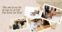 Tình yêu là nơi trú ẩn hay chỉ là một liều thuốc tạm thời