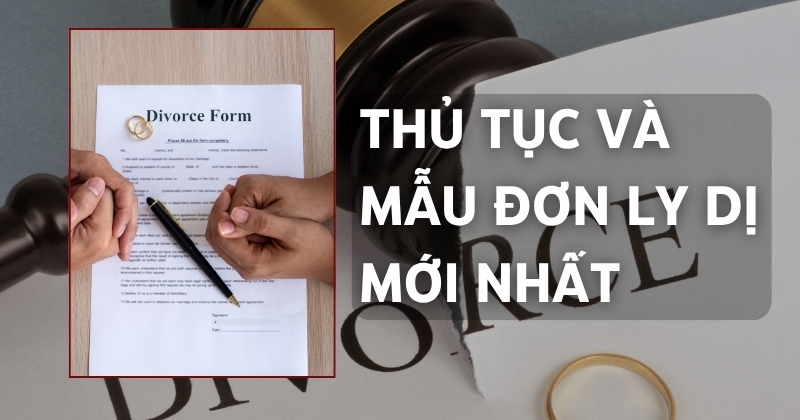 mẫu đơn ly dị mới nhất