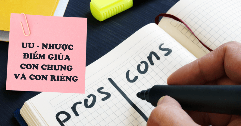 Ranh giới giữa con chung, con anh, con tôi: Chúng ta thật sự là một gia đình? Ưu nhiệc điểm của con chung và riêng
