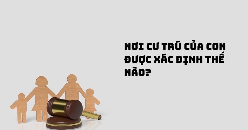 Nơi cư trú của con được xác định thế nào
